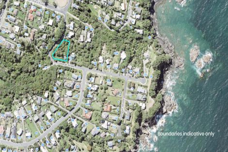 Photo of property in 9 Cotterell Street, Leigh, 0985