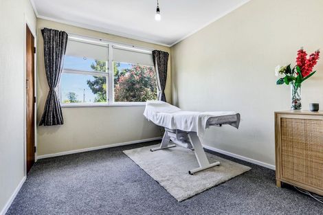 Photo of property in 3 Wake Street, Chartwell, Hamilton, 3210