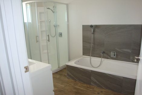 Photo of property in 32a Willow Street, Hampstead, Ashburton, 7700