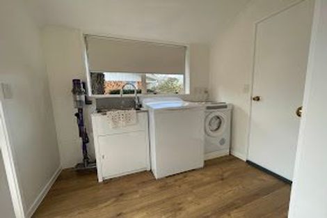 Photo of property in 103a Clarkin Road, Fairfield, Hamilton, 3214