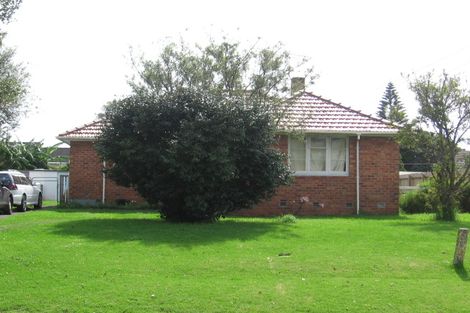 Photo of property in 19 Larsen Road, Panmure, Auckland, 1072