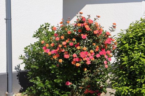 Photo of property in 28 Clyde Street, Oamaru North, Oamaru, 9400