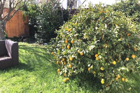 Photo of property in 89 Mein Street, Newtown, Wellington, 6021