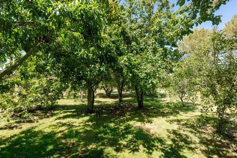Photo of property in 202 Ngamotu Road, Rerewhakaaitu, Rotorua, 3073