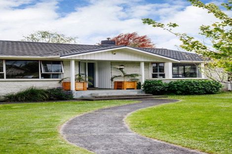 Photo of property in 4 Alfred Back Place, Cambridge, 3434