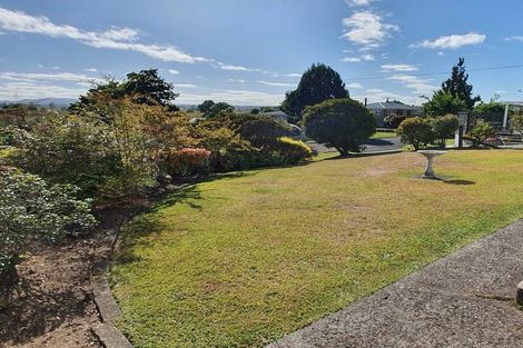 Photo of property in 14 Norrie Place, Putaruru, 3411