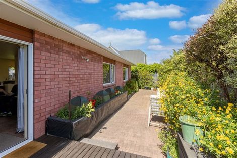 Photo of property in 1/11 Berwick Street, St Albans, Christchurch, 8014