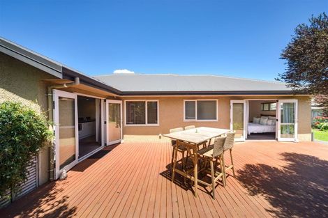 Photo of property in 207 Salisbury Street, Ashhurst, 4810