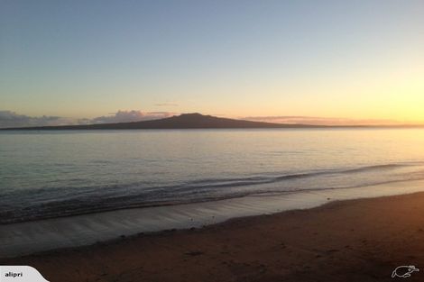 Photo of property in 1/15 Hemi Street, Narrow Neck, Auckland, 0622