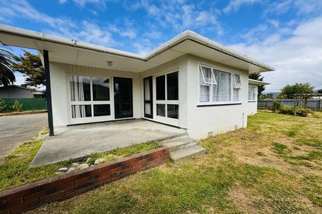 Photo of property in 43 Grey Street, Woodville, 4920