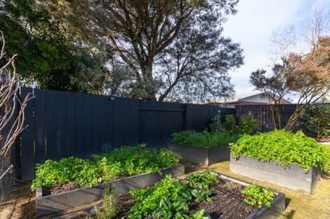 Photo of property in 9 Delta Place, Milson, Palmerston North, 4414