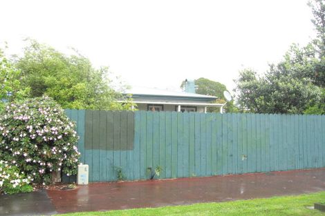 Photo of property in 43 Ivanhoe Road, Grey Lynn, Auckland, 1021