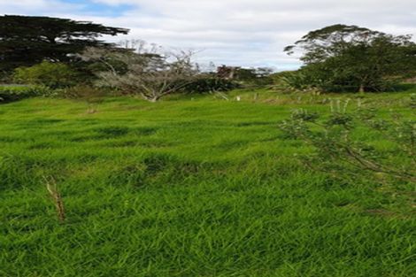 Photo of property in 736 Whakapirau Road, Whakapirau, Maungaturoto, 0583