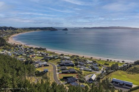 Photo of property in 29 Ohinau Drive, Opito Bay, Whitianga, 3592