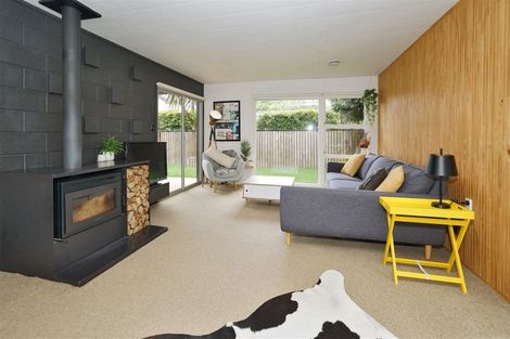 Photo of property in 10 Linthorpe Place, Hillcrest, Hamilton, 3216