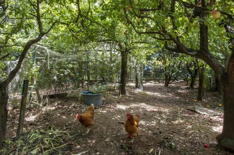 Photo of property in 10 Richmal Street, Waihi, 3610