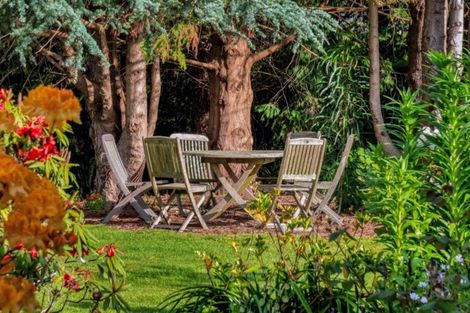 Photo of property in 16 Plane Tree Lane, Tauriko, Tauranga, 3110