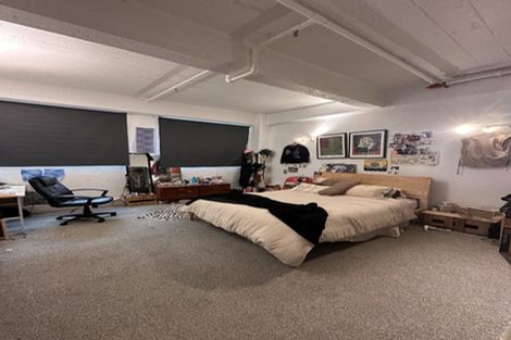 Photo of property in 6d Halleys Lane, Te Aro, Wellington, 6011