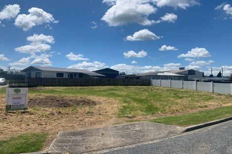 Photo of property in 20 Goodwin Street, Tirau, 3410