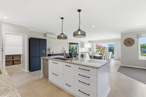 Photo of property in 17 Kauri Place, Pahiatua, 4910