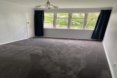 Photo of property in 117 Fairfield Road, Fairfield, Hamilton, 3214