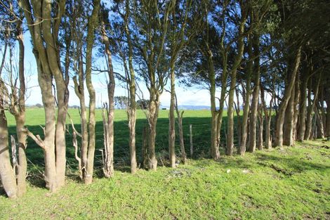 Photo of property in 141 Valley Road, Woodville, 4998