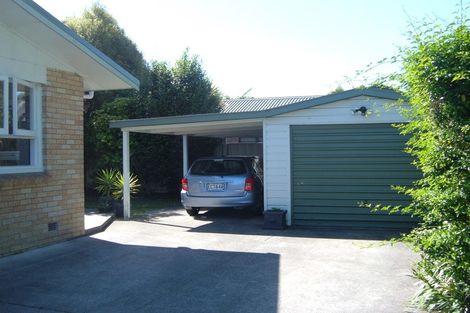 Photo of property in 13 Hobson Street, Maeroa, Hamilton, 3200