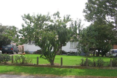 Photo of property in 17 Larsen Road, Panmure, Auckland, 1072