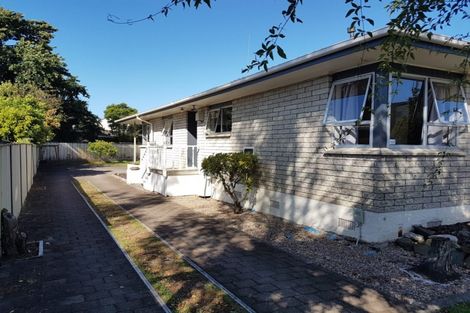 Photo of property in 14 Storey Avenue, Forest Lake, Hamilton, 3200