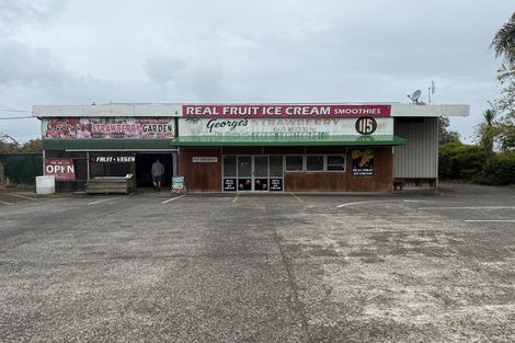 Photo of property in 113-115 Fred Taylor Drive, Whenuapai, Auckland, 0814