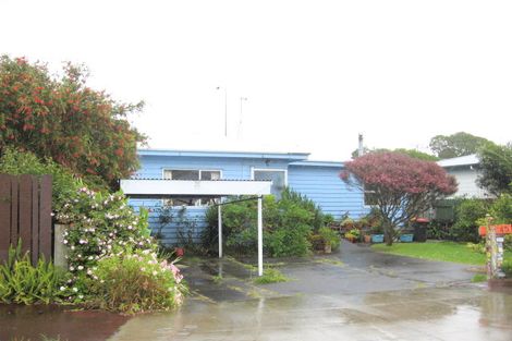 Photo of property in 45 Ivanhoe Road, Grey Lynn, Auckland, 1021