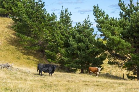 Photo of property in 463 Moonshine Hill Road, Moonshine Valley, Porirua, 5381