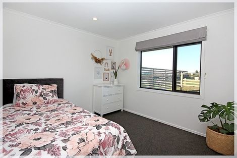 Photo of property in 77 Bergin Road, Foxton, 4814