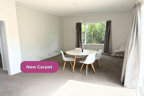 Photo of property in 3/23 Fifield Terrace, Waltham, Christchurch, 8023