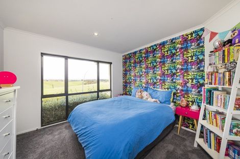 Photo of property in 317a Mount Biggs Road, Halcombe, Feilding, 4779