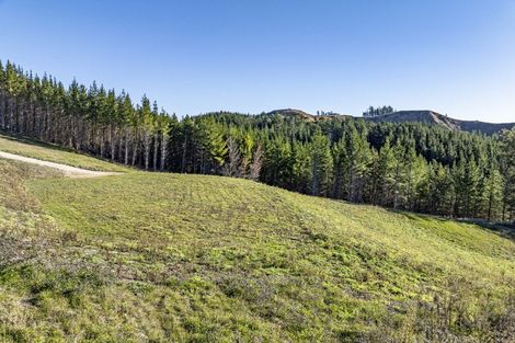 Photo of property in 1000 Kahuranaki Road, Kahuranaki, 4295