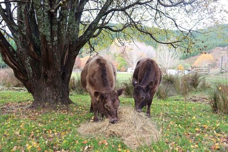 Photo of property in 26 Briggs Road, Onamalutu, Wairau Valley, 7275