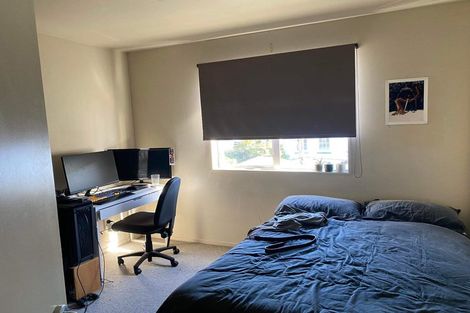 Photo of property in 11 Douglas Street, Mount Cook, Wellington, 6021