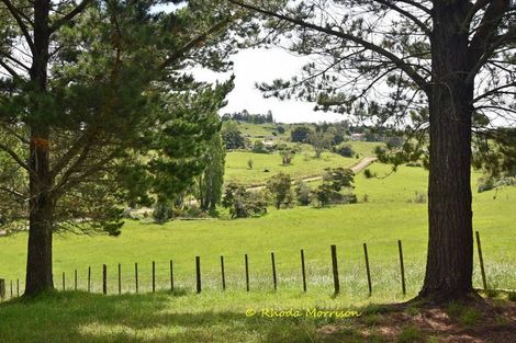 Photo of property in 69 Matakohe Wharf Road, Matakohe, 0593