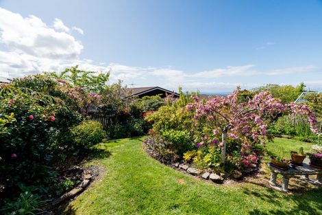 Photo of property in 59 Isadore Road, Saint Clair, Dunedin, 9012