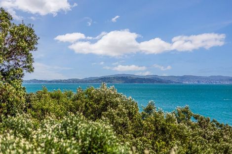 Photo of property in 316 Marine Dr York Bay, York Bay, Lower Hutt, 5013