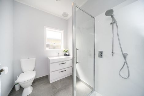 Photo of property in 29 Limbrick Street, Terrace End, Palmerston North, 4410