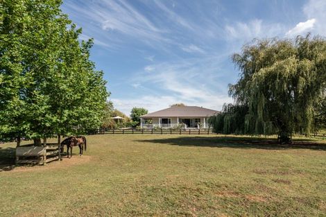Photo of property in 81 Racecourse Road, Cambridge, 3493