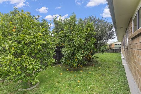 Photo of property in 23 Nikau Place, Matamata, 3400