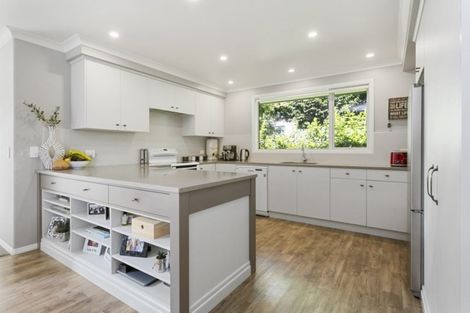 Photo of property in 29 Herbert Street, Kihikihi, Te Awamutu, 3800