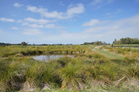 Photo of property in 55 Koura Drive, Rangiora, 7400