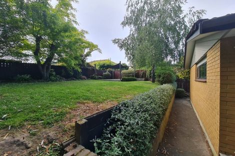 Photo of property in 91 James Cook Street, Havelock North, 4130