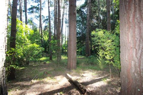 Photo of property in 175 Brunswick Road, Brunswick, Whanganui, 4571