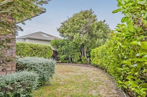 Photo of property in 1/71 Brougham Street, Addington, Christchurch, 8024