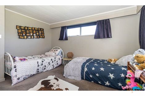 Photo of property in 186 Rangitata-orari Bridge Highway, Rangitata, Geraldine, 7992